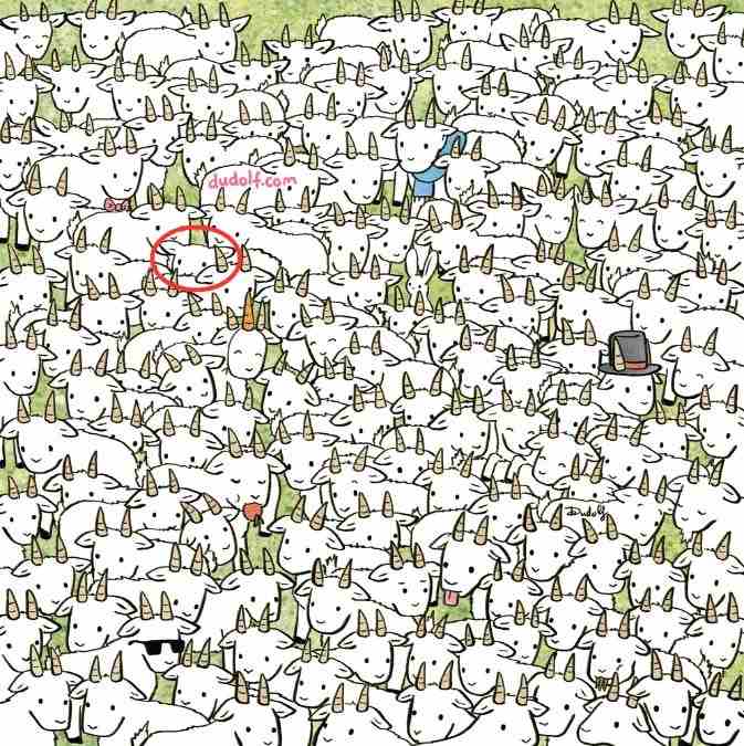 hidden picture puzzles with answers