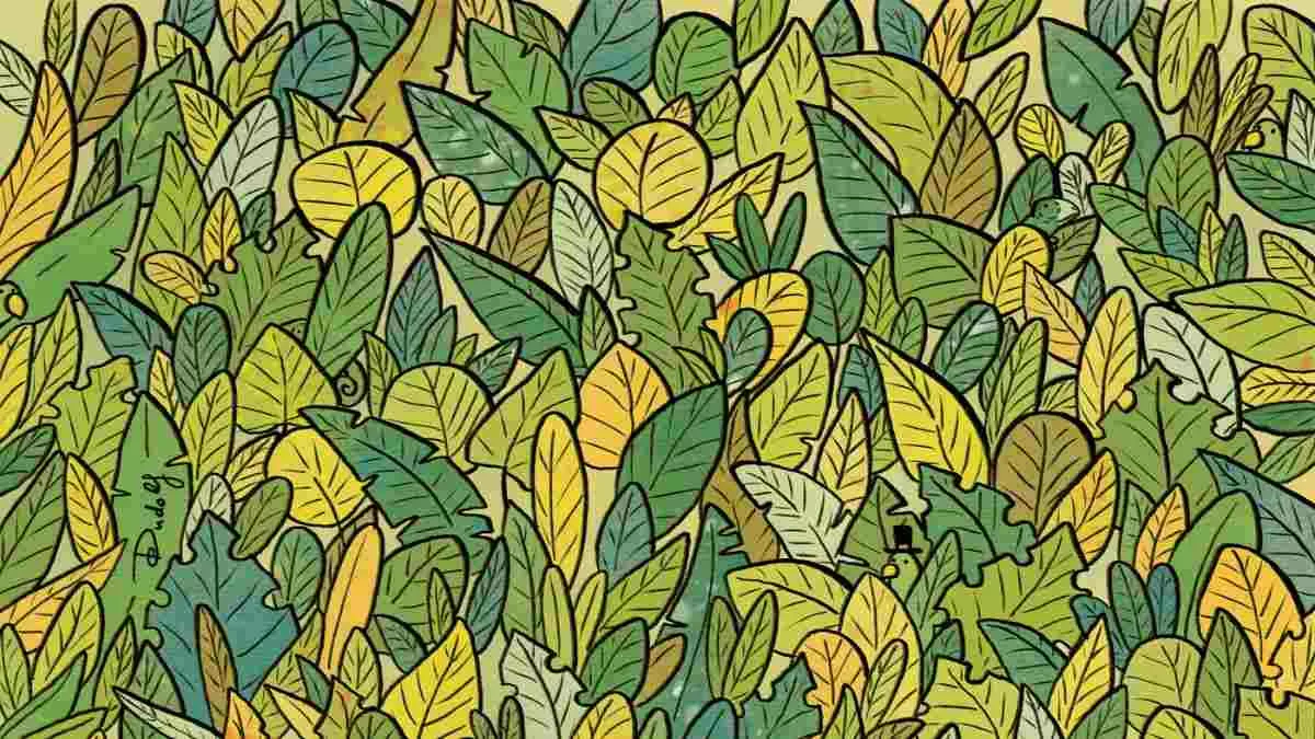 Spot three chameleons.
