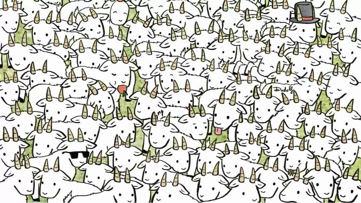 Spot the sheep.