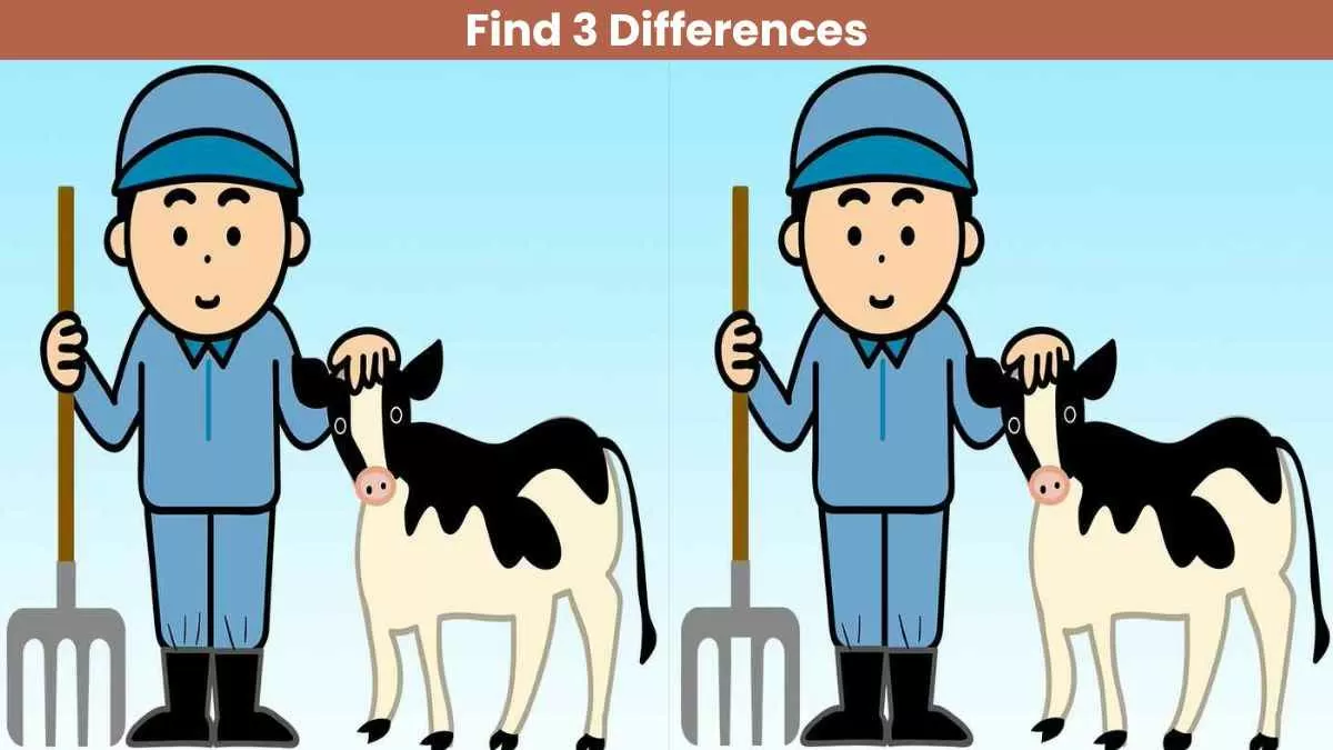 Find 3 differences in 16 seconds