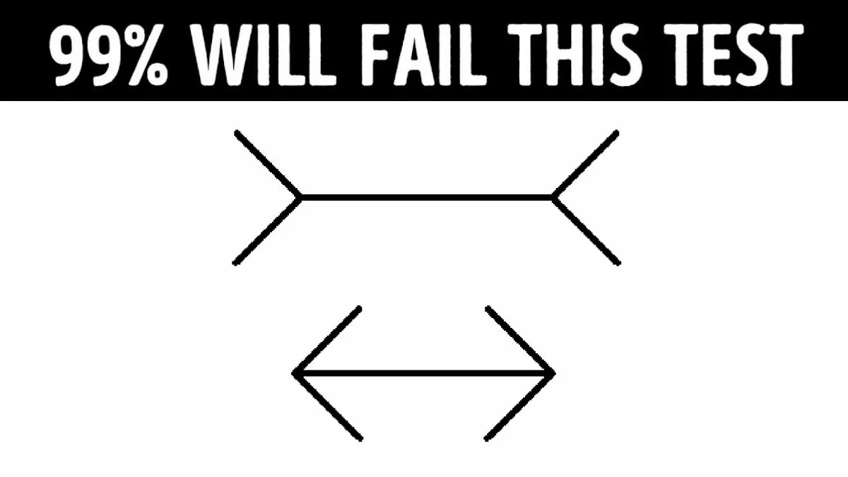 Which line is longer?