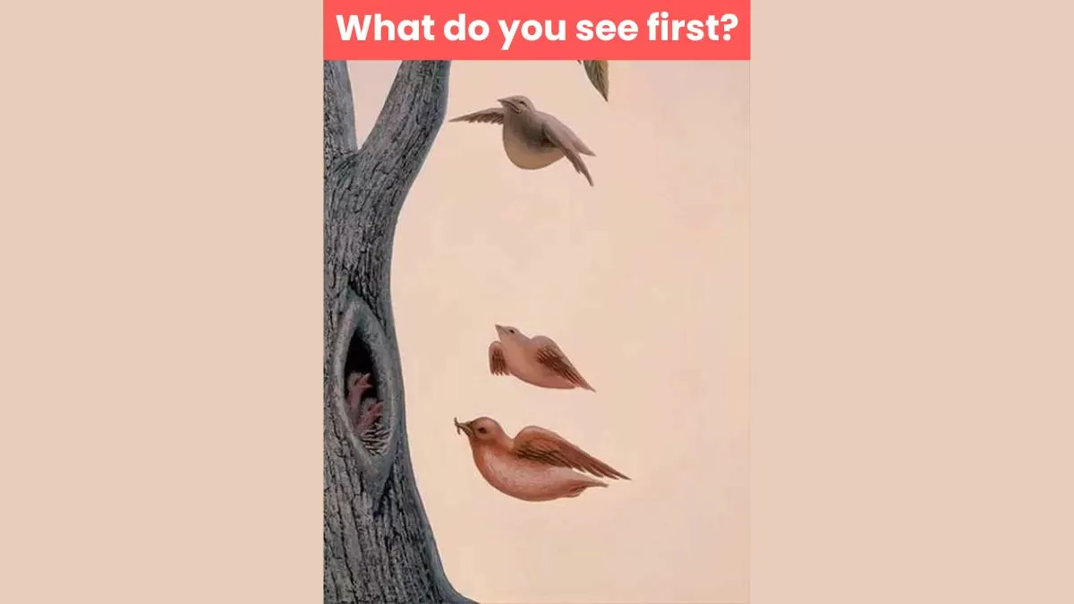 Optical Illusion: What you see first reveals the deepest desires you have in life 