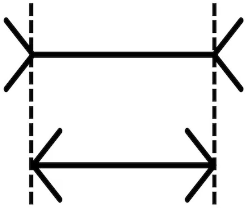 which line is longer brain teaser with answer