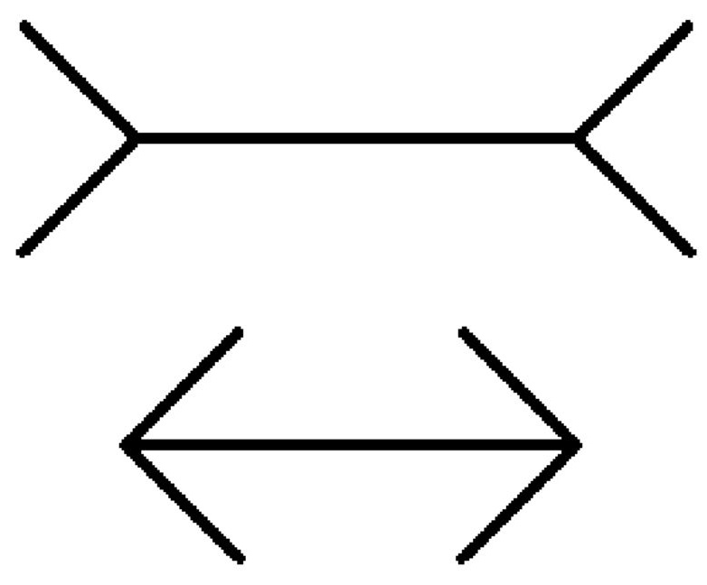 which line is longer brain teaser with answer