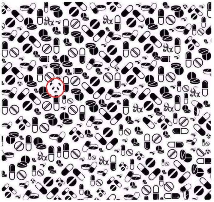 hidden panda picture puzzles