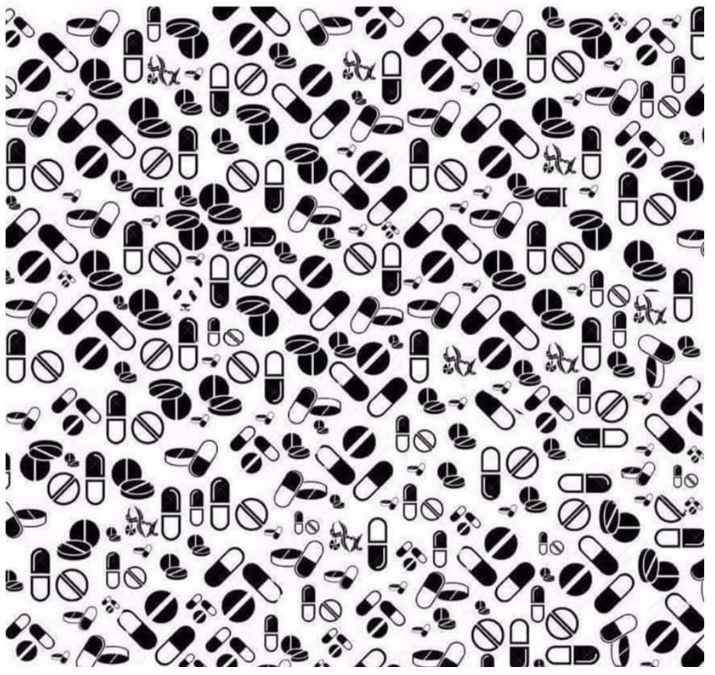 hidden panda picture puzzles