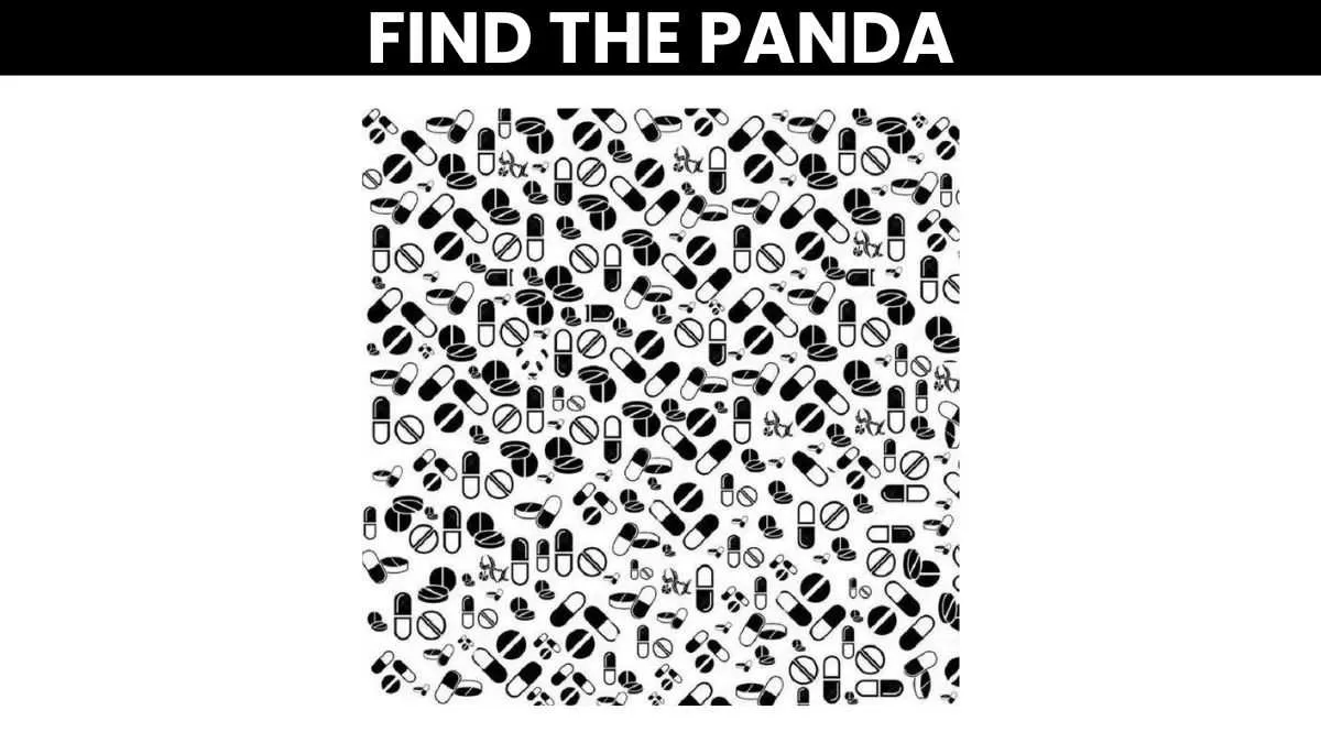 Spot the panda.
