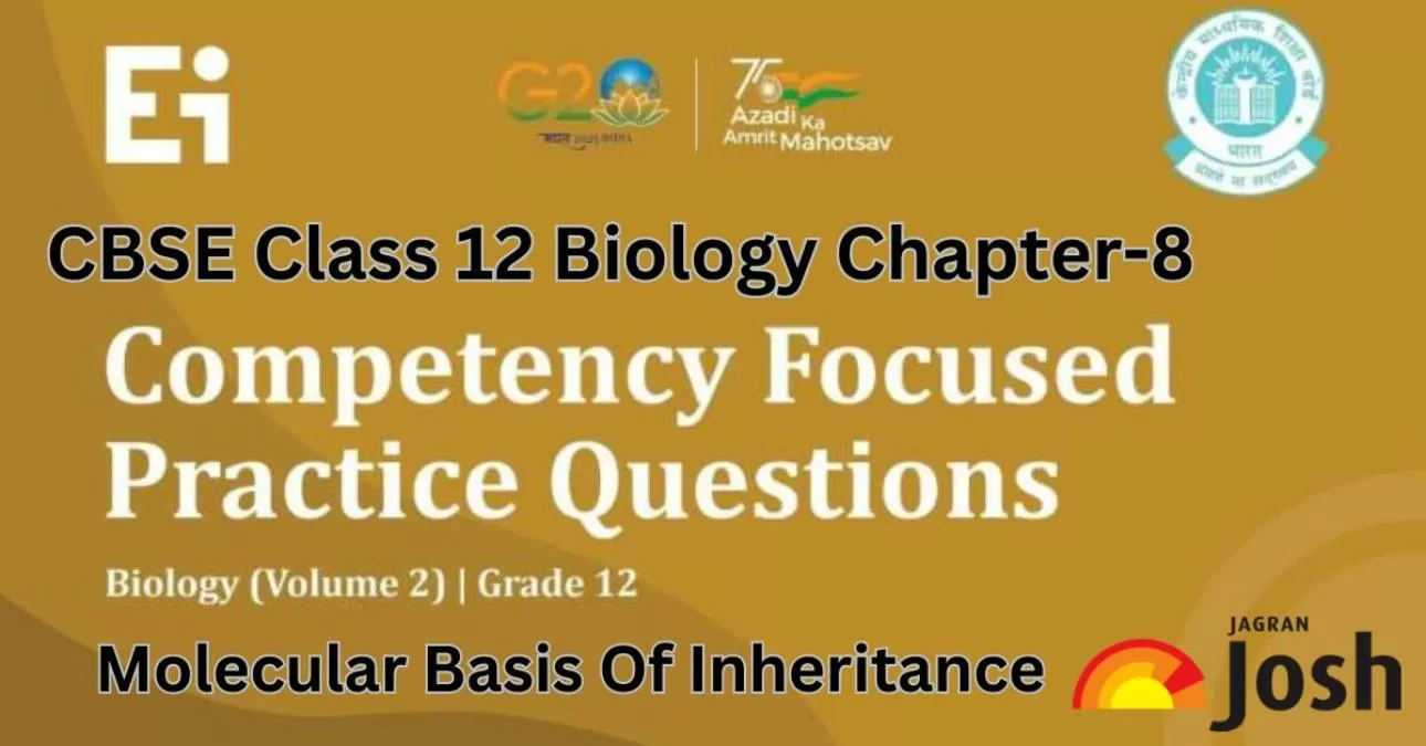 CBSE Class 12 Biology Competency-Based Questions With Answer Key 2024-25: Chapter 8 Molecular Basis Of Inheritance FREE PDF Download