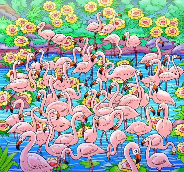 hidden picture puzzles with answers