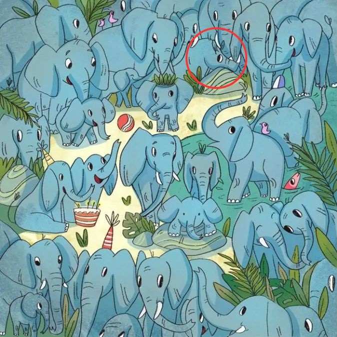 hidden picture puzzles with answers