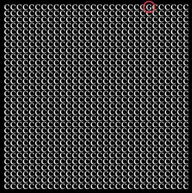 optical illusion pictures with hidden images