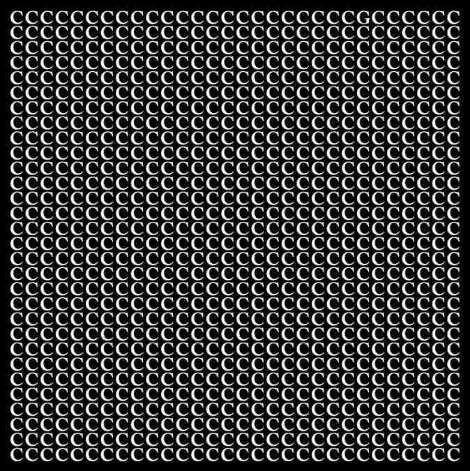 optical illusion pictures with hidden images