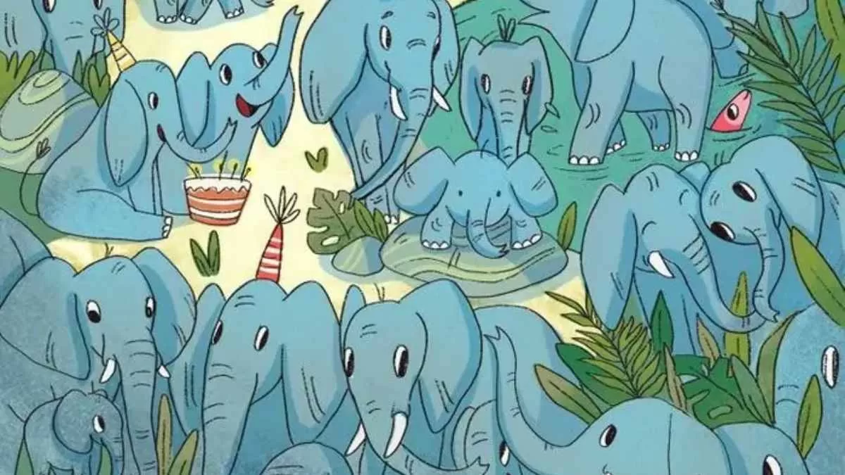 Spot the rhino.