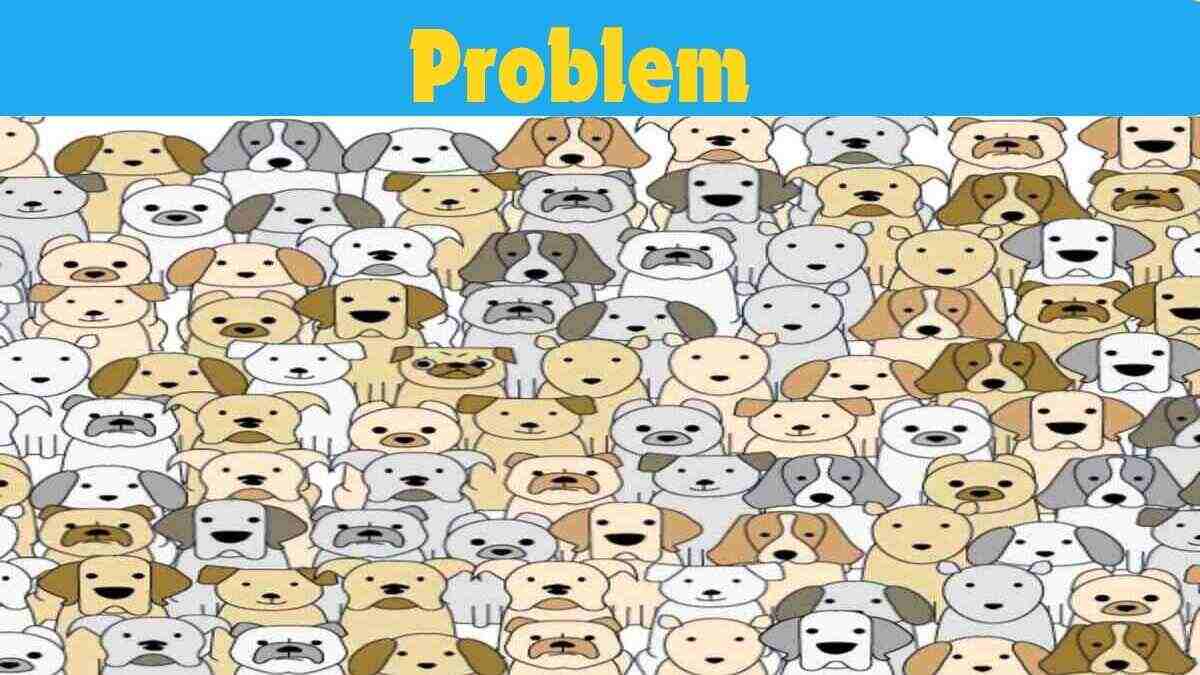 Picture Puzzle IQ Test: Spot Pug in 13 Seconds | 130+ IQ Score