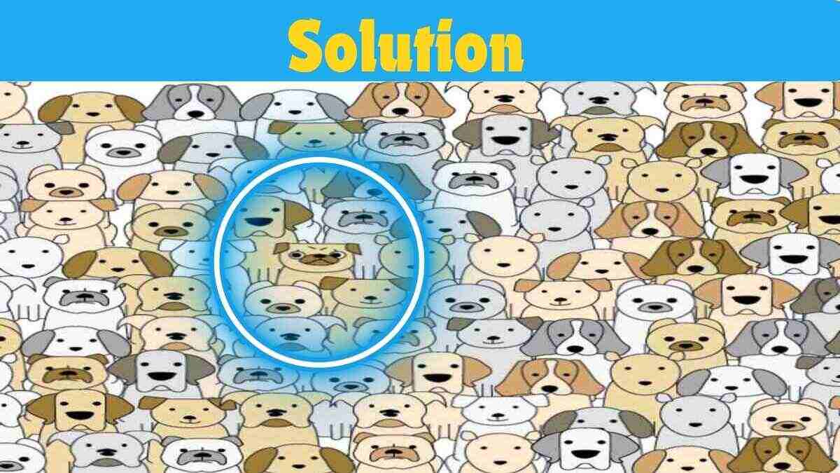 Picture Puzzle IQ Test: Spot Pug in 13 Seconds | 130+ IQ Score