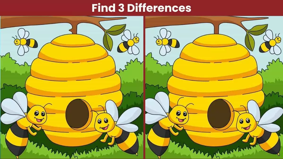 Spot 3 differences in 19 seconds
