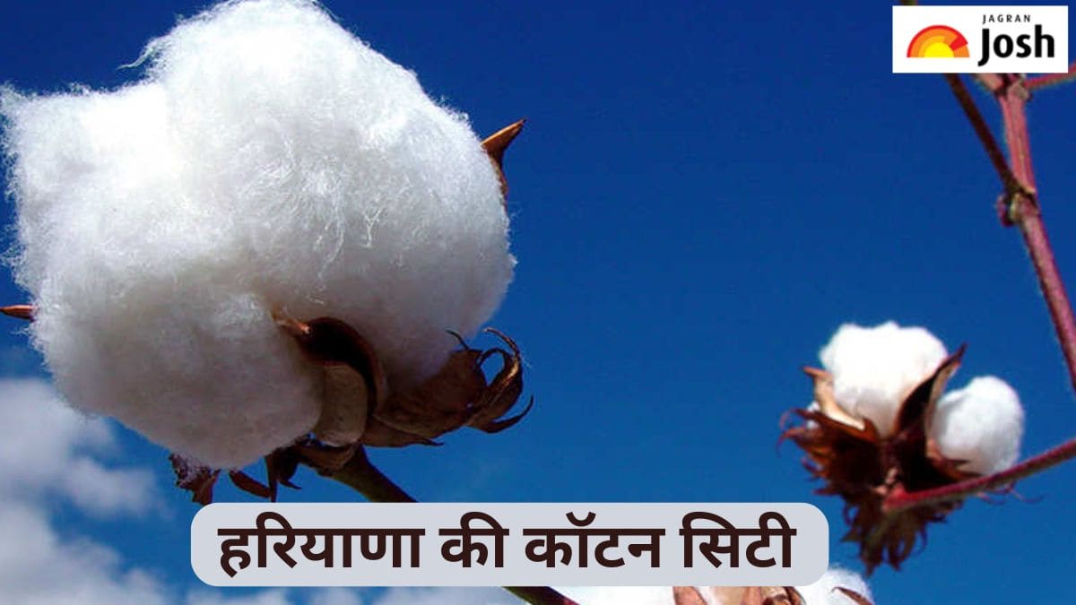 हरियाणा के किस जिले को कहा जाता है कॉटन सिटी, जानें 