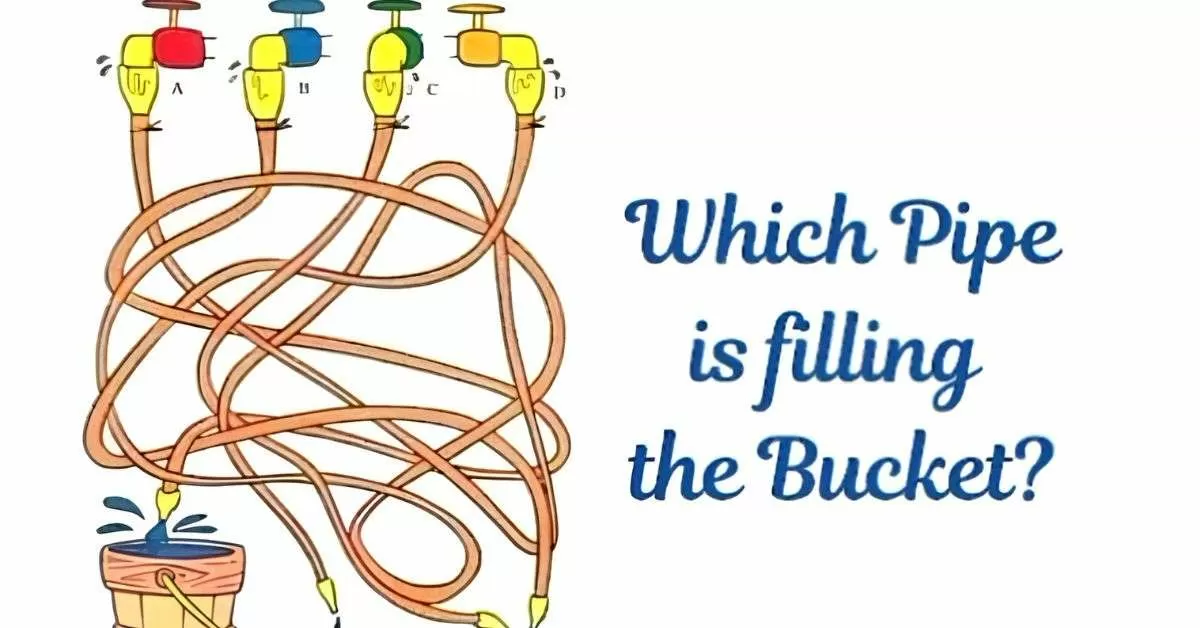 Find Which Pipe is Filling the Bucket?