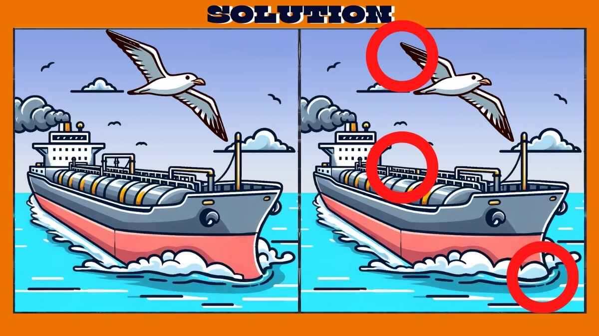 Find 3 Differences in 36 Seconds in These Cruise Ship Pictures