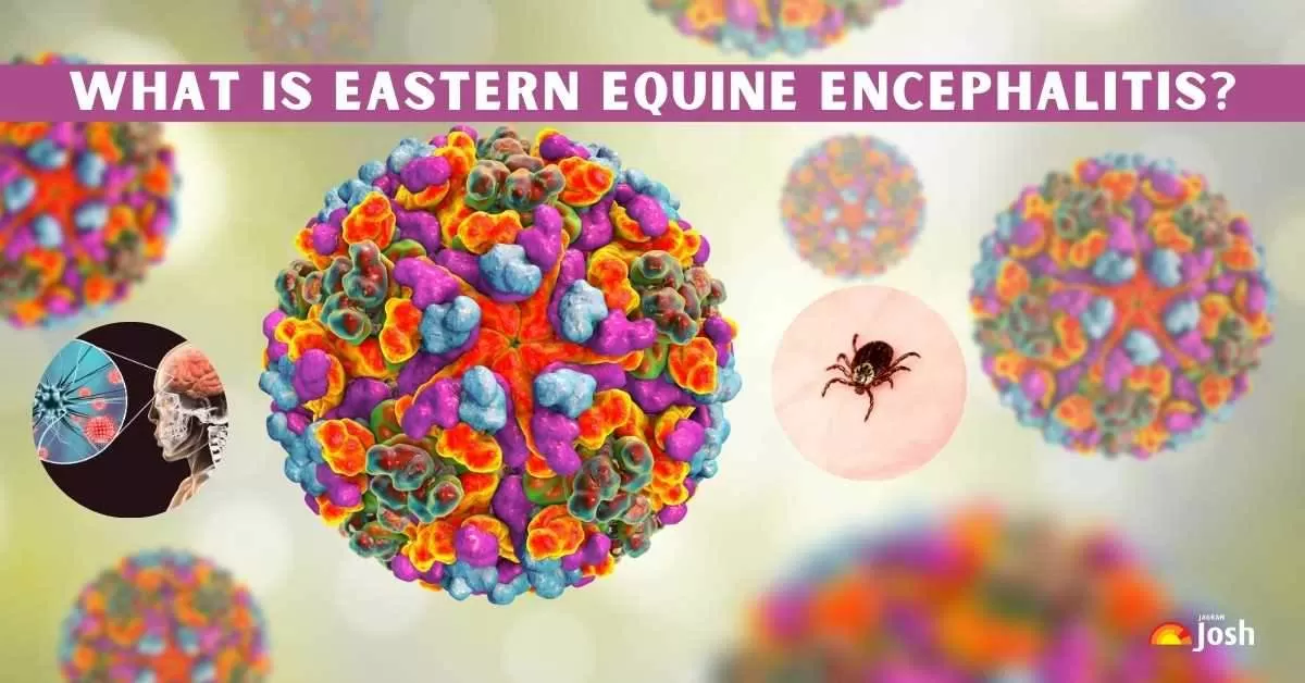 What is the 'Triple E' mosquito virus?