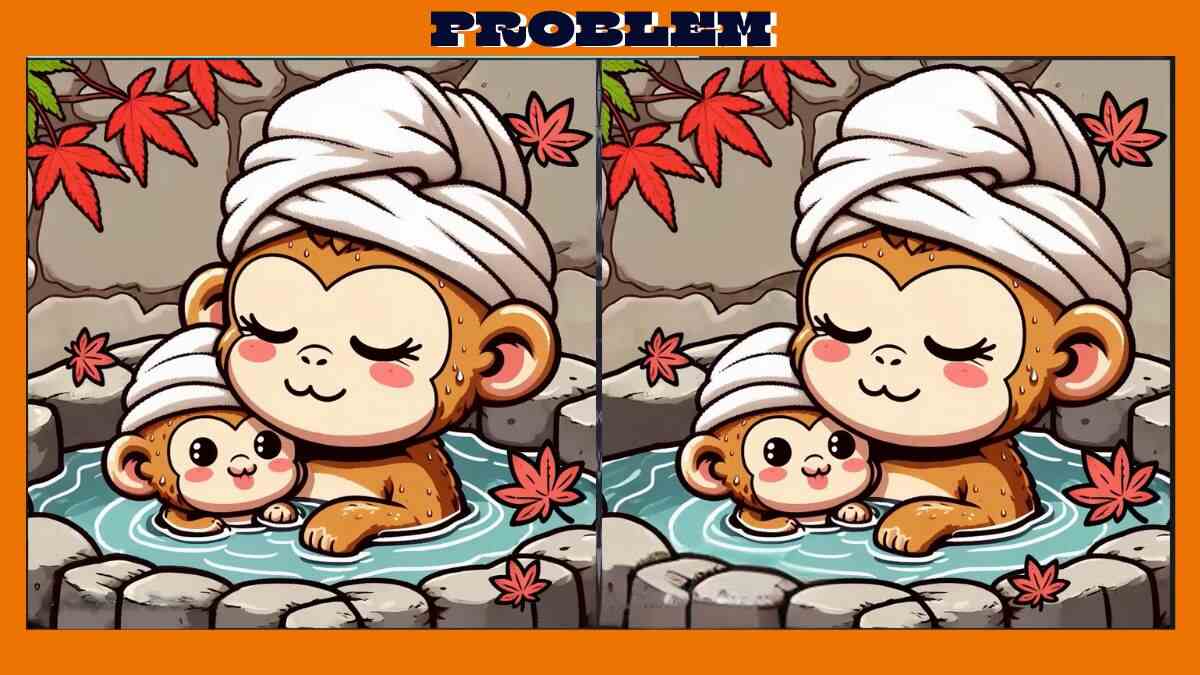 Find 3 Differences in 15 Seconds in These Monkey Bathing Pictures