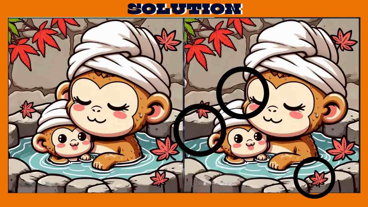 Find 3 Differences in 15 Seconds in These Monkey Bathing Pictures