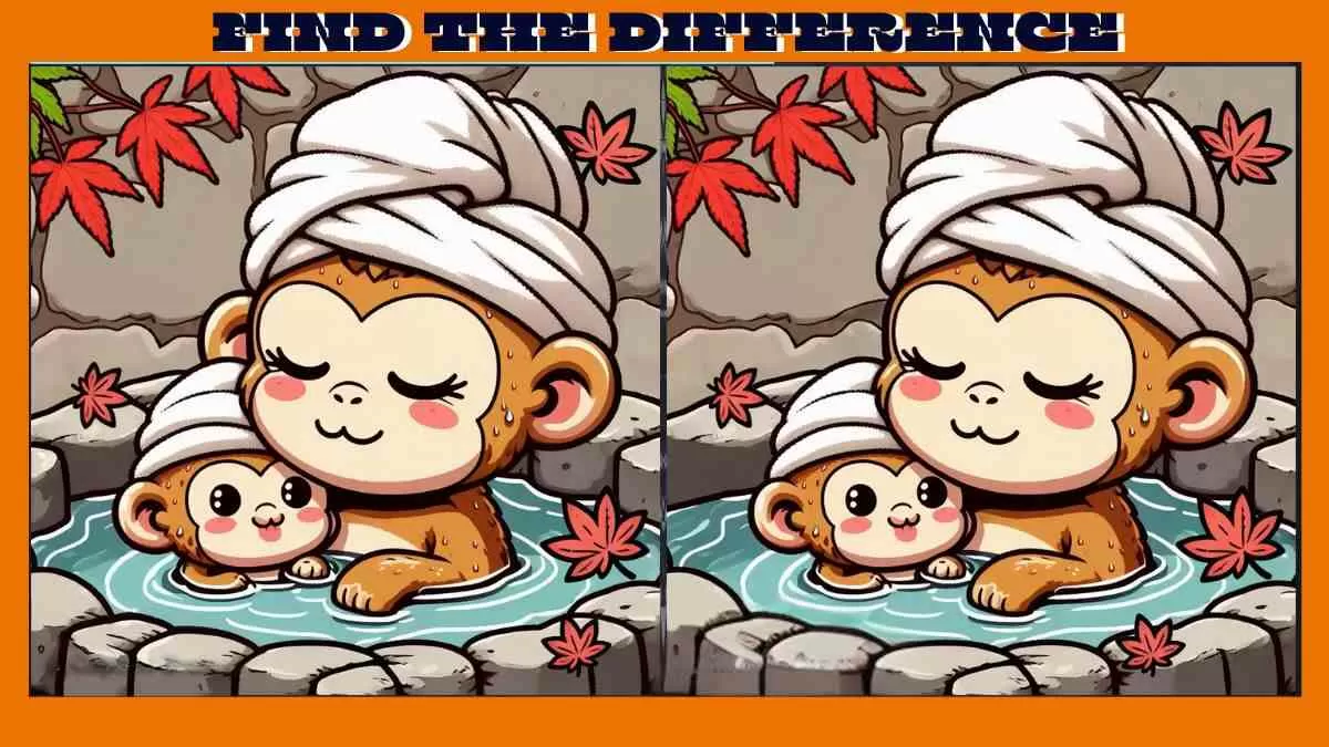 Find 3 Differences in 15 Seconds in These Monkey Bathing Pictures