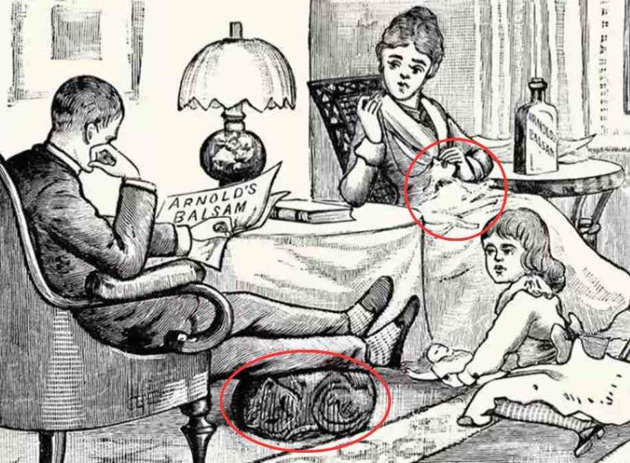 hidden optical illusions with answers