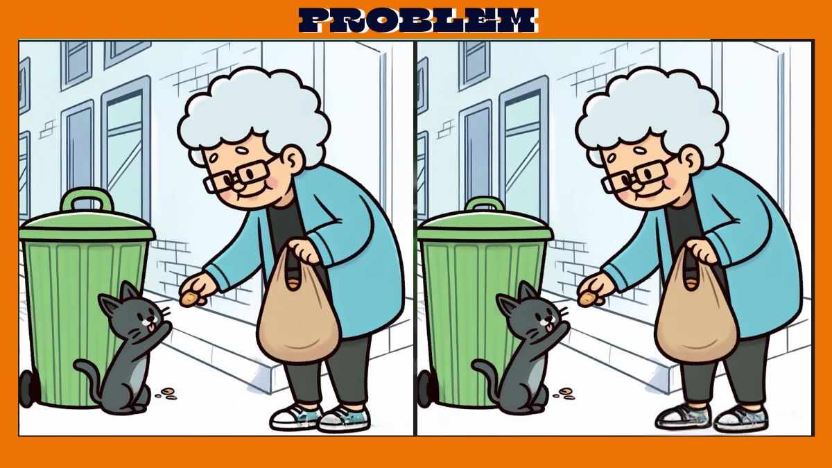 Find 3 Differences in 16 Seconds in These Grandma Feeding Kitten Pictures