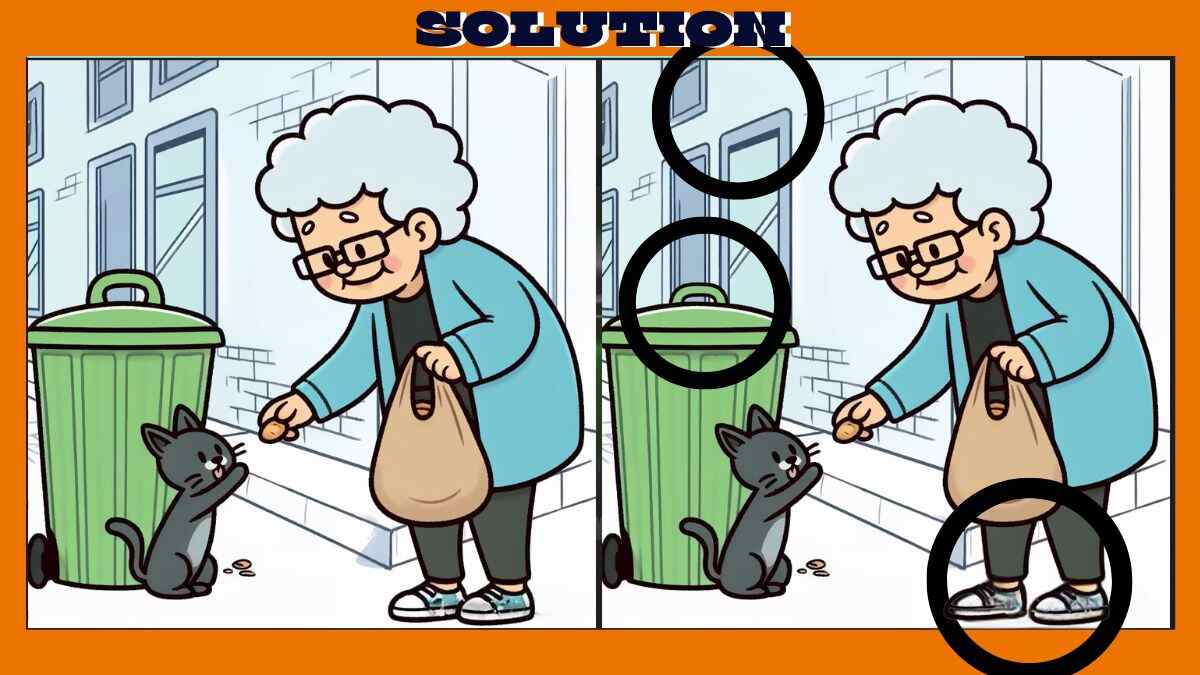 Find 3 Differences in 16 Seconds in These Grandma Feeding Kitten Pictures