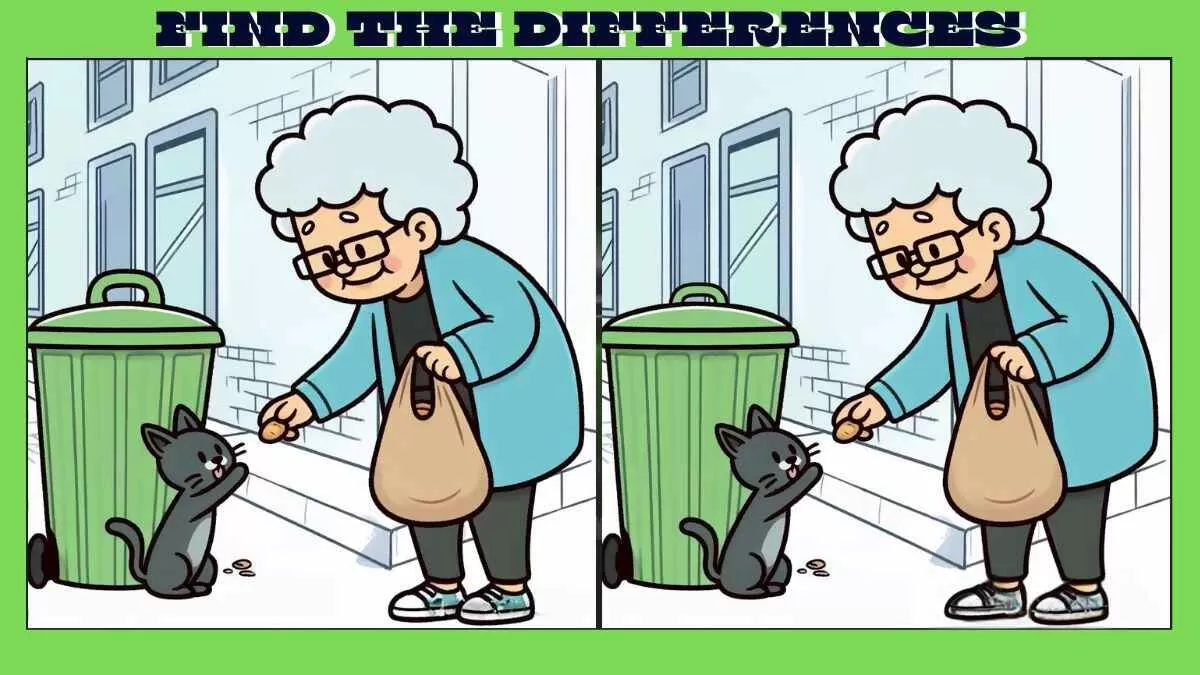 Find 3 Differences in 16 Seconds in These Grandma Feeding Kitten Pictures