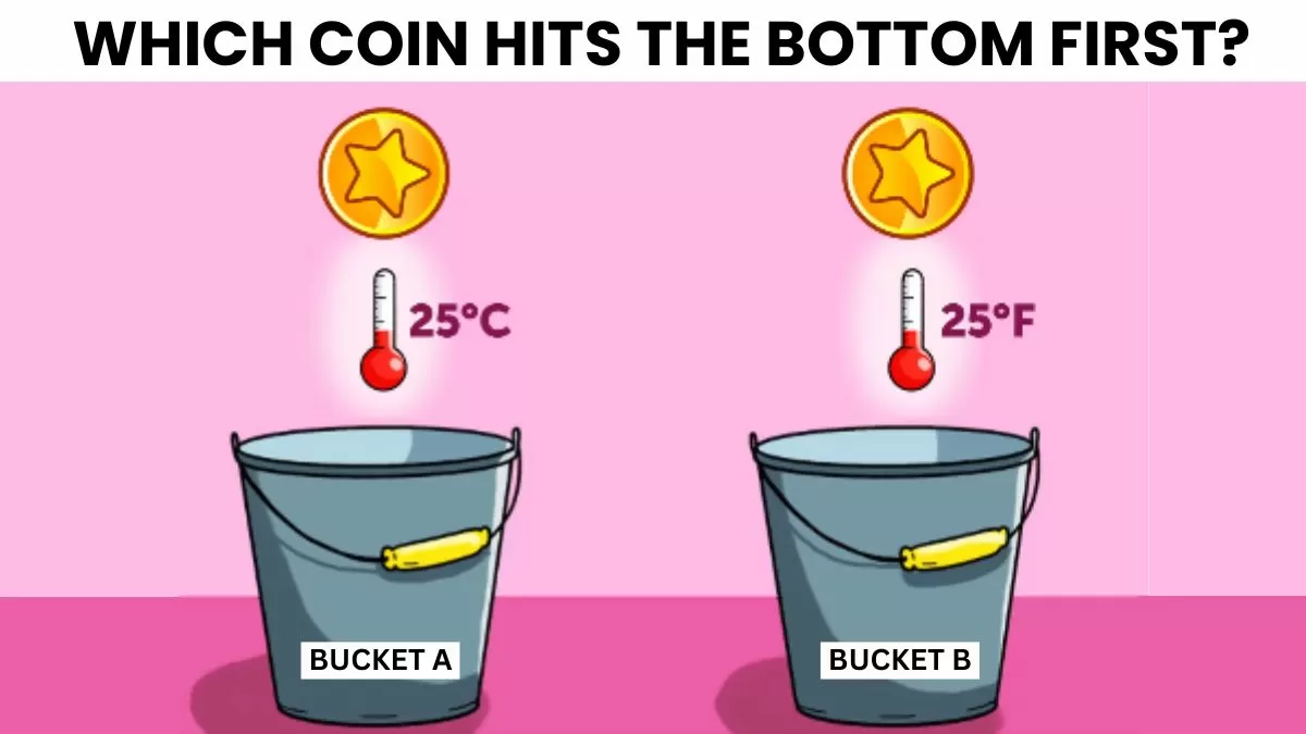 Which coin touches the bottom first?