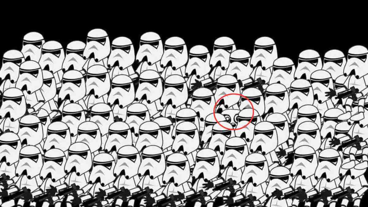 optical illusion pictures with hidden images