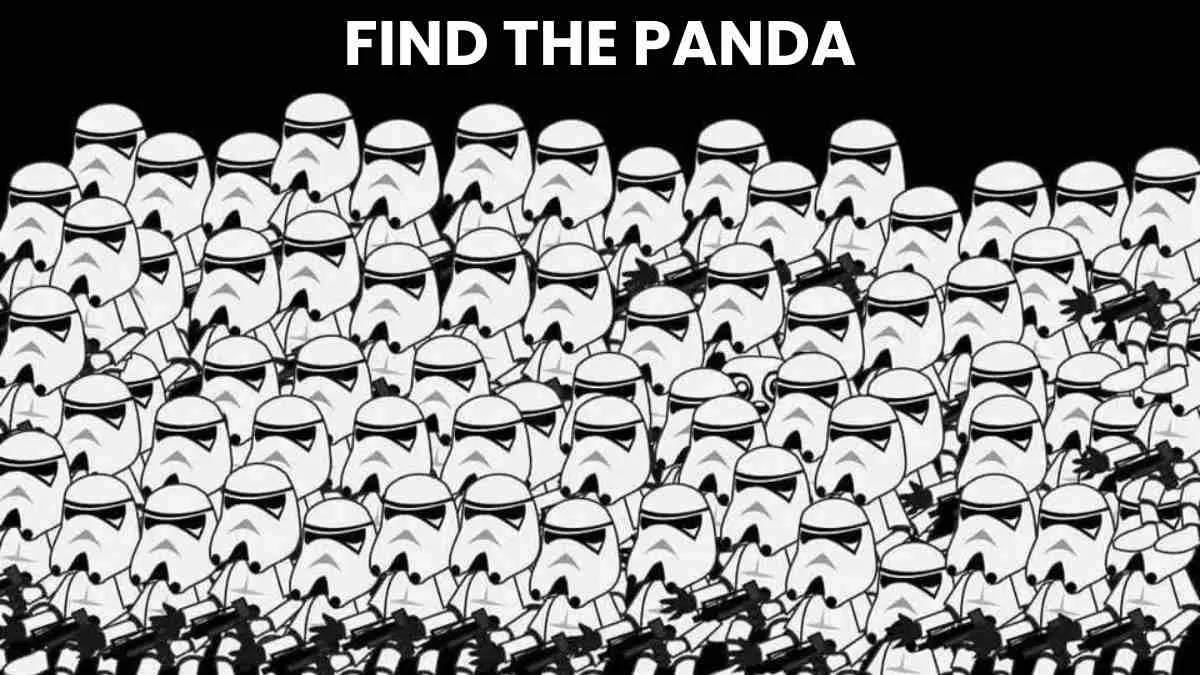 Optical Illusion To Test Your IQ: Spot The Panda.