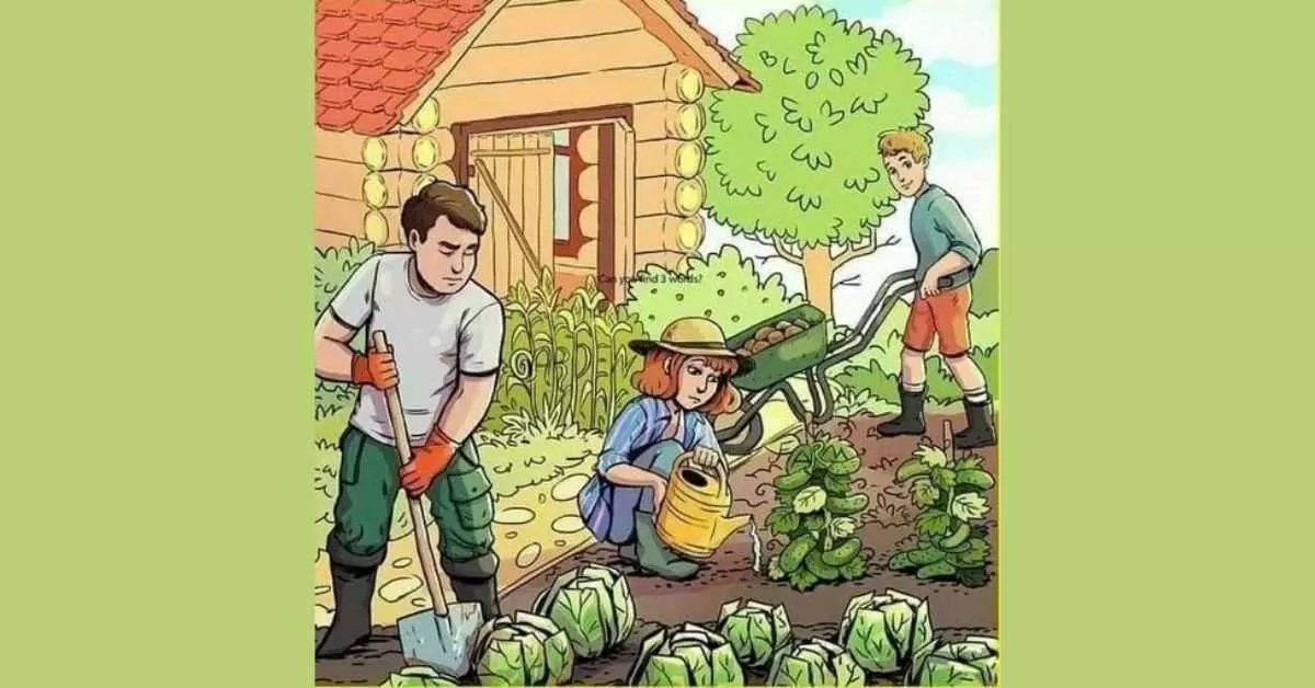 Spot 3 Hidden Words in 9 Seconds 