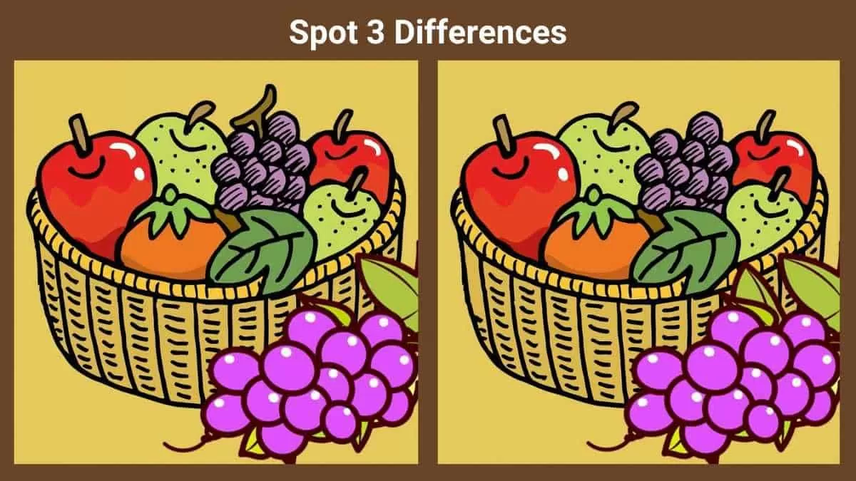 Spot 3 differences in 12 seconds