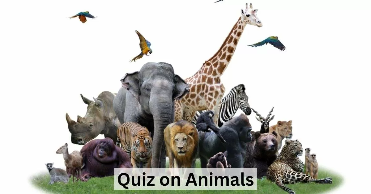 GK Quiz on Animals