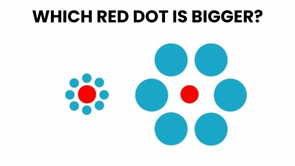 Which red dot is bigger? 