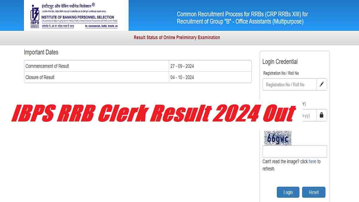 (Out)IBPS RRB Clerk Prelims Result 2024 Declared at ibpsonline.ibps.in: Here's Donwload Link
