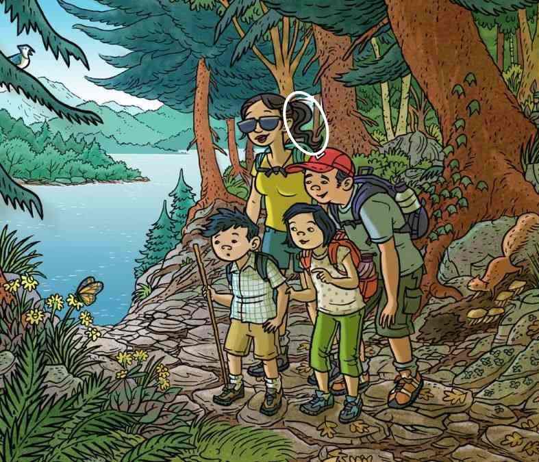 optical illusion pictures with hidden images