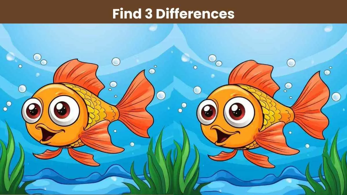 Find 3 differences between fish pictures in 12 seconds