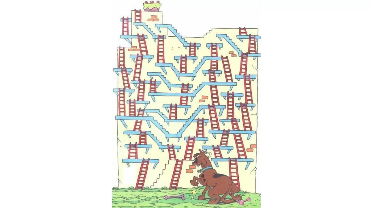 Brain Teaser: Help Scooby Doo reach the cake before time runs out!