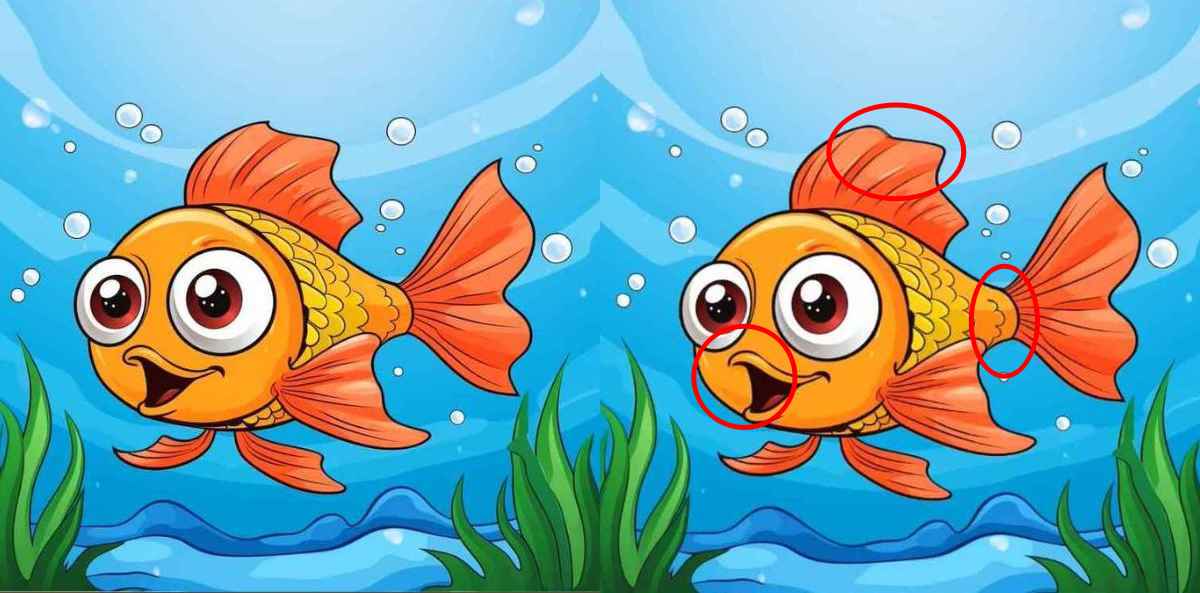 find%203%20differences%20fish%20pictures%20solved