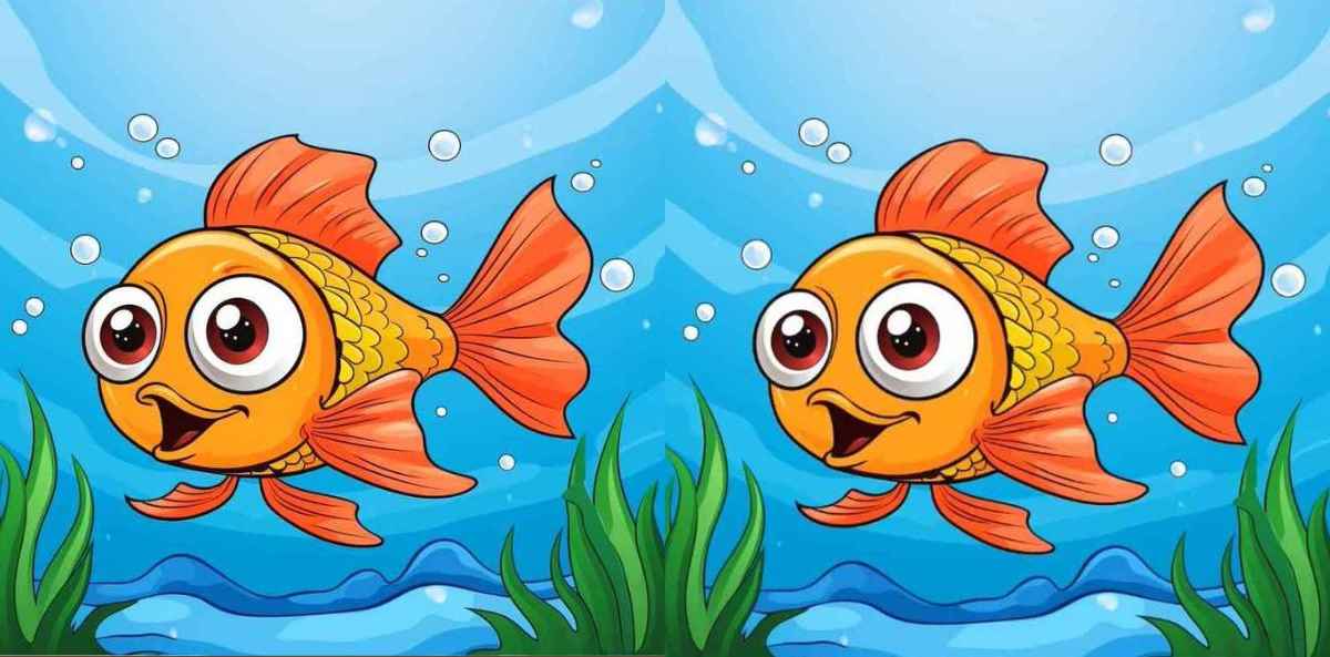 find%203%20differences%20fish%20pictures