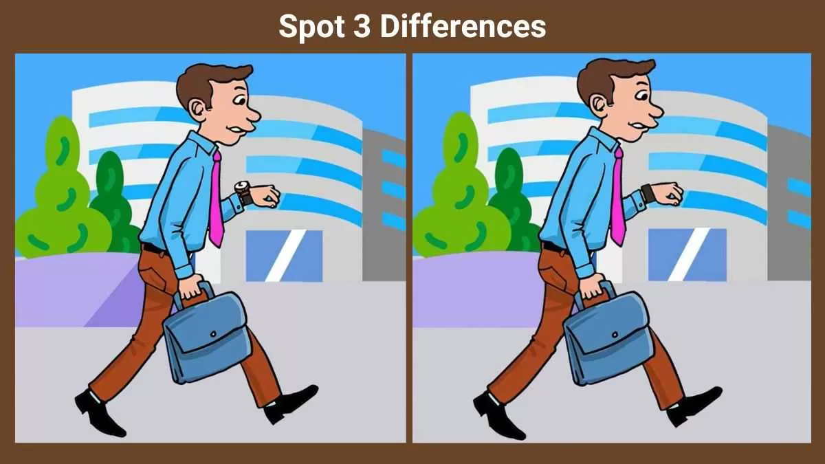 Spot 3 differences in 17 seconds