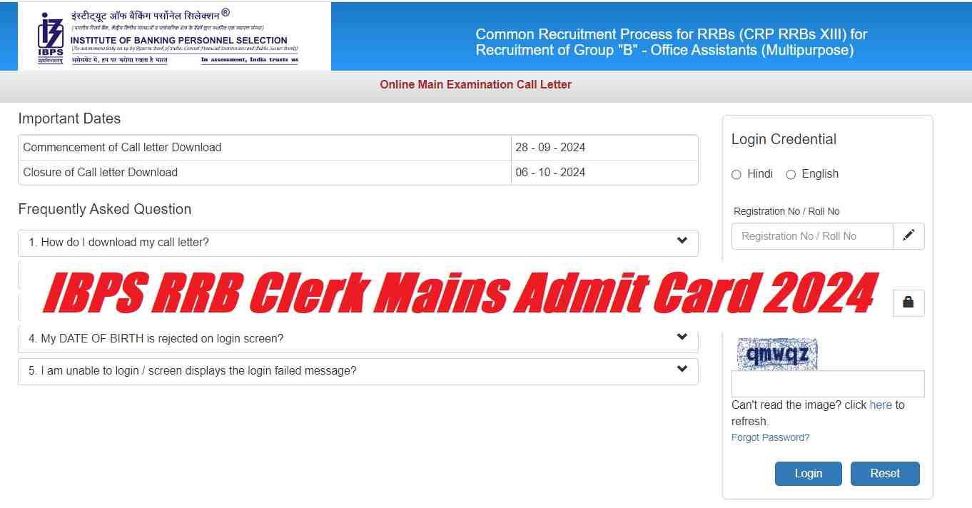 IBPS RRB Clerk Mains Admit Card 2024 Out at ibps.in, Direct Link to Hall Ticket, Check Exam Date