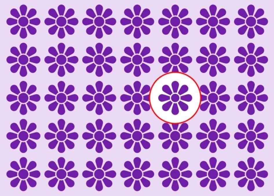 optical illusion pictures with hidden images