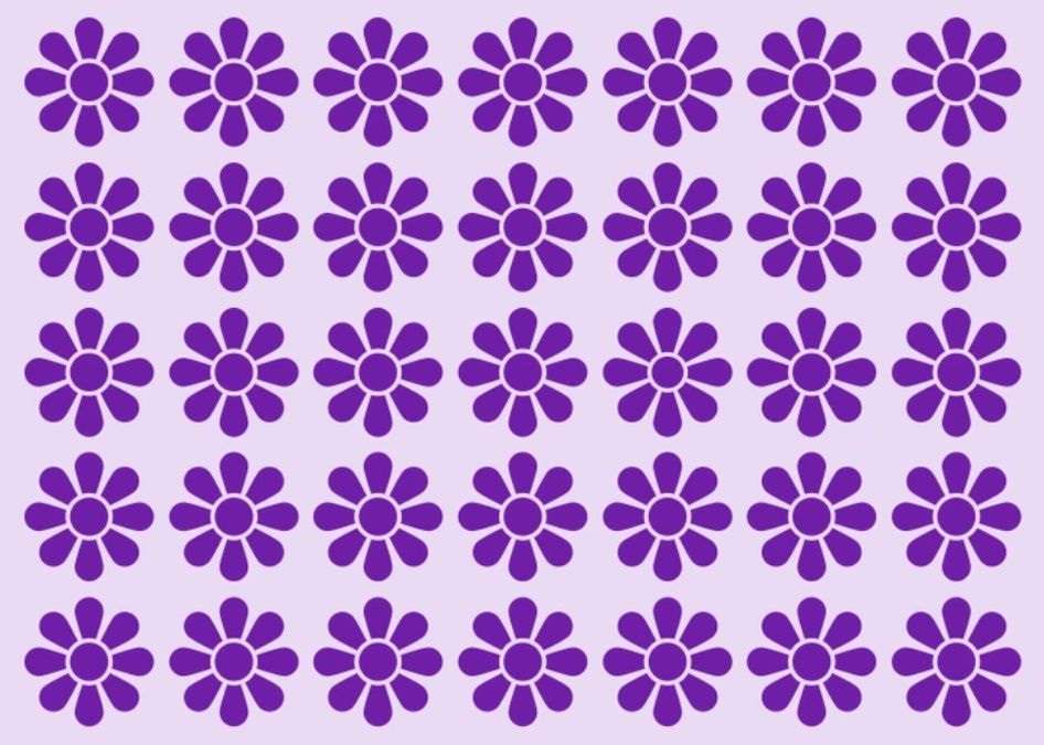 optical illusion pictures with hidden images