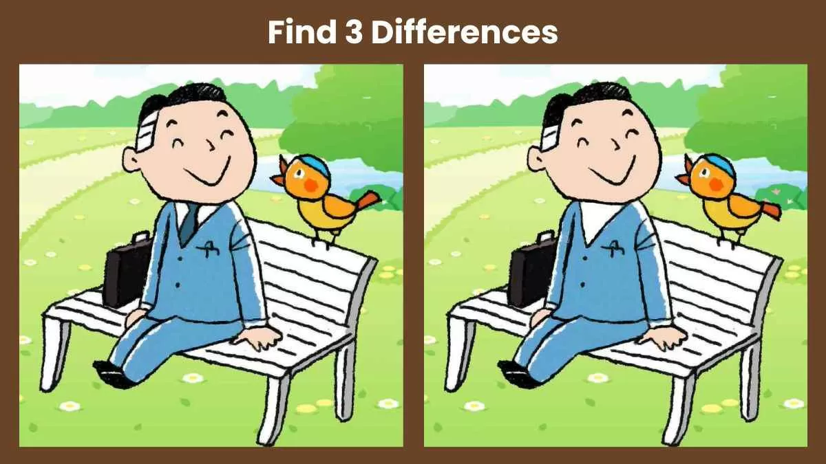 Find 3 differences in 10 seconds