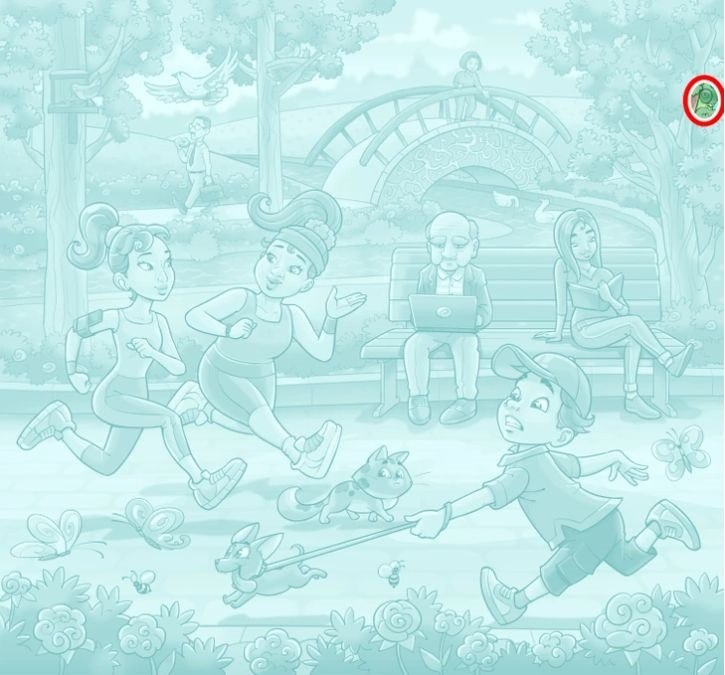 hidden optical illusions